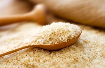 Premium Brown Rice – Indian Desi Variety - Nector & Leaf Llp. - India